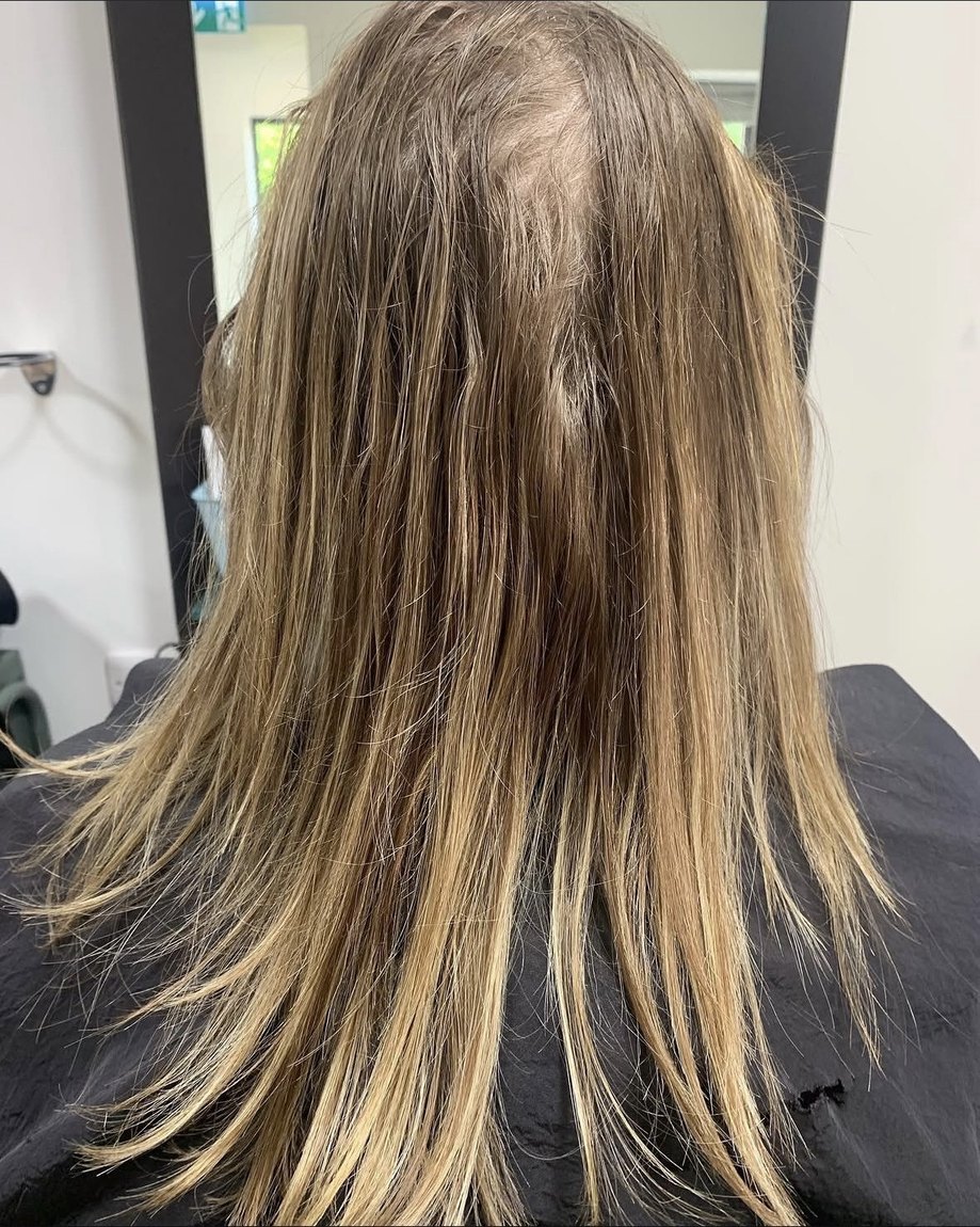 Fine, dry hair before colour and a treatment at INCH Hair Design